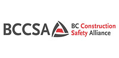 bccsa logo